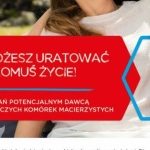 WĄKROTKA AZJATYCKA – WIELKA MOC NIEWIELKIEJ ROŚLINKI