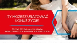 WĄKROTKA AZJATYCKA – WIELKA MOC NIEWIELKIEJ ROŚLINKI