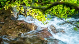 5 PROSTYCH ZASAD JAK OSZCZĘDZAĆ WODĘ , LIFESTYLE - Woda zajmuje ponad 70% powierzchni naszej planety. Mimo, że jej brak może wydawać się odległy, okazuje się, że ta wizja jest coraz bardziej realna. W ciągu ostatnich 25 lat ilość wody pitnej na jednego mieszkańca spadła aż o 26%.