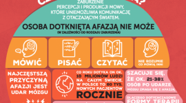 Gdy głowa słowa chowa, czyli problem afazji.