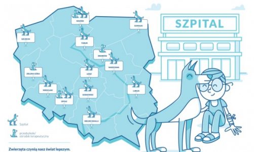 Goitrogeny – związki groźne dla tarczycy?