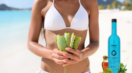 O co chodzi z tym Aloesem? , LIFESTYLE - Wielu z nas słyszało o niezwykłych właściwościach leczniczych aloesu, sięga po niego coraz więcej Polaków. Aloes robi furorę nie tylko w świecie kosmetologii, ale także medycyny naturalnej: leczy, upiększa, regeneruje skórę i całe ciało.