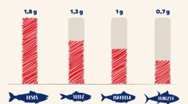Za co lubimy kwasy omega-3? , LIFESTYLE - Według dietetyków powinniśmy spożywać ryby co najmniej 2 razy w tygodniu, w tym co najmniej raz ryby tłuste, takie jak łosoś, makrela, czy śledź. Dlaczego?