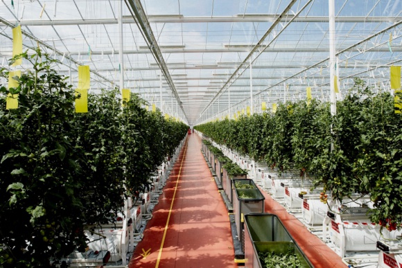 Gwiazdy na rzecz walki z rakiem piersi Zdrowie, LIFESTYLE - Ruszyła 8 edycja kampanii DOTYKAM=WYGRYWAM, której głównym celem jest promocja profilaktyki raka piersi poprzez regularne samobadanie piersi i noszenie dobrze dobranego biustonosza. Do akcji dołączyły gwiazdy. Film: https://www.youtube.com/watch?v=73CuIg1sz_8&feature=share