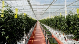 Gwiazdy na rzecz walki z rakiem piersi , LIFESTYLE - Ruszyła 8 edycja kampanii DOTYKAM=WYGRYWAM, której głównym celem jest promocja profilaktyki raka piersi poprzez regularne samobadanie piersi i noszenie dobrze dobranego biustonosza. Do akcji dołączyły gwiazdy. Film: https://www.youtube.com/watch?v=73CuIg1sz_8&feature=share