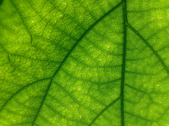 Świadomość klimatyczna Polaków: ile tak naprawdę wiemy o postępujących zmianach Zdrowie, LIFESTYLE - Niemal każdy z nas uważa, że zmiany klimatu są poważnym problemem. Obawiamy się skutków zmian klimatu – wichur, powodzi, suszy. Widzimy, że troska o środowisko to troska o zdrowie człowieka (...)