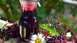 Czarny bez i cynk - bezcenne dla zdrowia twojej rodziny , LIFESTYLE - Czarny bez to jedna z najstarszych roślin leczniczych. Od wieków kwiaty i owoce czarnego bzu wykorzystuje się przy przeziębieniach, gorączce, zapaleniu krtani i gardła. Jest korzystny dla prawidłowego funkcjonowania układu oddechowego...