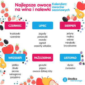 infografika Najlepsze domowe nalewki domowe sposoby informacja prasowa Najlepsze owocowe nalewki. Zobacz, jak prosto zrobić – domowe sposoby.