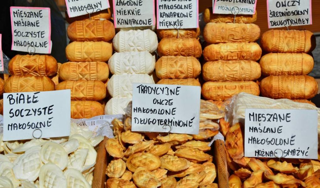 Nabial-owczy Mleko prosto od owcy. Dietetyk o zaletach nabiału owczego