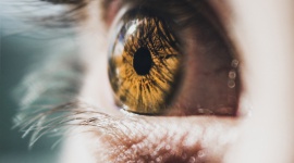 Światowy Dzień Wzroku - wyniki badania jak Polacy dbają o swój wzrok , LIFESTYLE - Wzrok jest ważnym narzędziem zmysłu człowieka. Należy o niego dbać regularnie. Badania wykonane na zlecenie Vision Express pokazują, że wielu Polaków nie dba prawidłowo o swój wzrok.