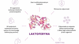 Problemy z cholesterolem u bliskich – jak możemy pomóc? , LIFESTYLE - Jak pokazują dane z raportu „Świadomość Polaków na temat cholesterolu i metabolizmu” przygotowanego dla marki Berimal, u blisko 25% ankietowanych stwierdzono w minionym roku podwyższony poziom cholesterolu. Problem jest jednak znacznie poważniejszy.